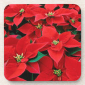 Red Poinsettia Holiday Getränkeuntersetzer (Vorderseite)