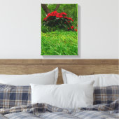 Red Poinsettia Leinwanddruck (Insitu (Schlafzimmer))