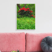 Red Poinsettia Leinwanddruck (Insitu (Wohnzimmer))