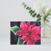 Red Poinsettia Postcard Postkarte (Stehend Vorderseite)