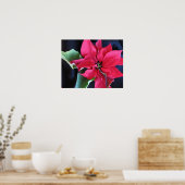Red Poinsettia Poster (Küche)