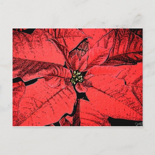 Red Poinsettia Postkarte (Vorderseite)