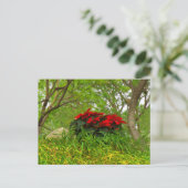 Red Poinsettia Postkarte (Stehend Vorderseite)