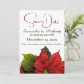Red Poinsettia Wedding Save The Date (Stehend Vorderseite)