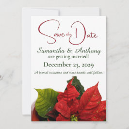 Red Poinsettia Wedding Save The Date