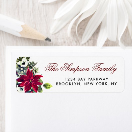 Red Poinsettia Weihnachtsaufenthalt (Insitu)