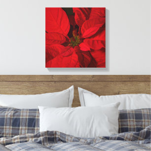 Red Poinsettia Weihnachtsfeiertage Leinwanddruck