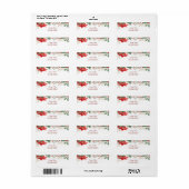 Red Poinsettia Weihnachtsfeiertage Rücksendeadress (Vorne)