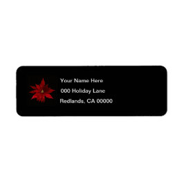 Red Poinsettias auf schwarz