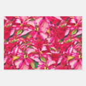 Red Poinsettias Christmas Blumenmuster Geschenkpapier Set (Vorderseite 2)