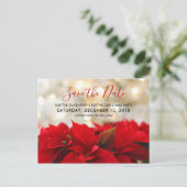 Red Poinsettias Christmas Save the Date Postkarte (Stehend Vorderseite)