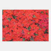 Red Poinsettias I Christmas Holiday Floral Foto Geschenkpapier Set (Vorderseite)
