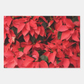 Red Poinsettias I Christmas Holiday Floral Foto Geschenkpapier Set (Vorderseite 3)