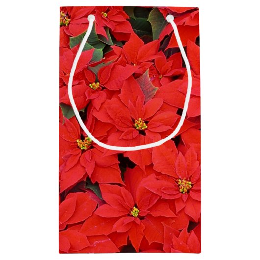 Red Poinsettias I Christmas Holiday Floral Foto Kleine Geschenktüte (Rückseite)
