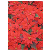 Red Poinsettias I Christmas Holiday Floral Foto Klemmbrett (Rückseite)