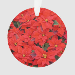 Red Poinsettias I Christmas Holiday Floral Foto Ornament