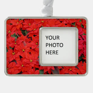 Red Poinsettias I Christmas Holiday Floral Foto Rahmen-Ornament Silber