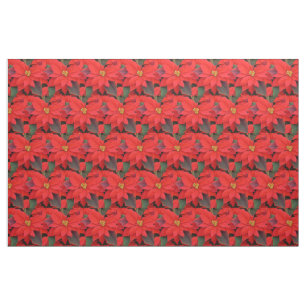 Red Poinsettias I Christmas Holiday Floral Foto Stoff