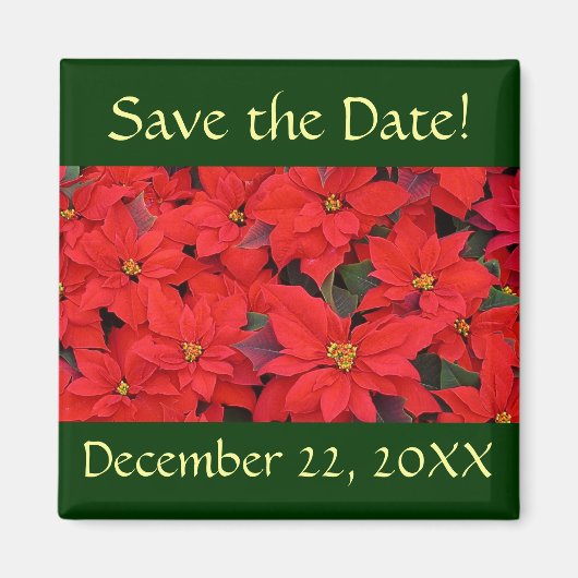 Red Poinsettias I Save the Date Magnet (Vorne)