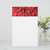 Red Poinsettias II Weihnachtsfeiertage Briefpapier (Stehend Vorderseite)