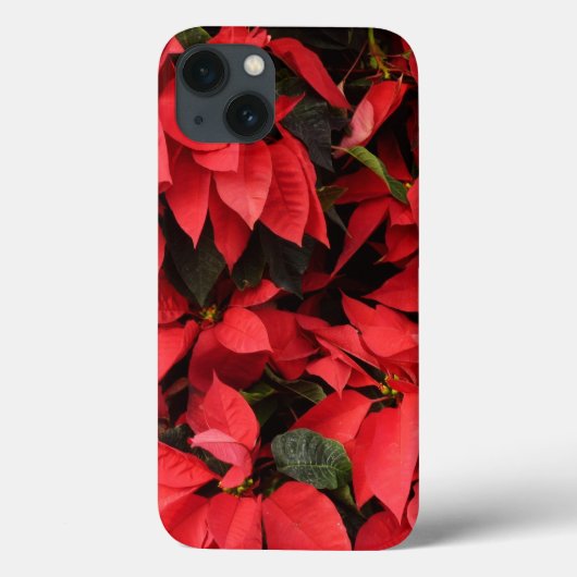 Red Poinsettias II Weihnachtsfeiertage Case-Mate iPhone Hülle (Rückseite)