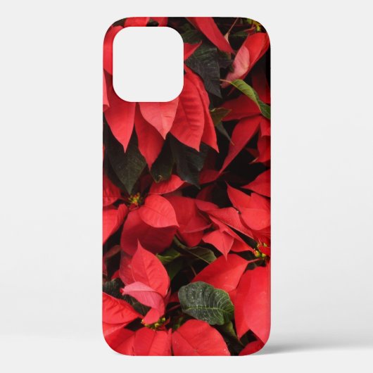 Red Poinsettias II Weihnachtsfeiertage Case-Mate iPhone Hülle (Rückseite)