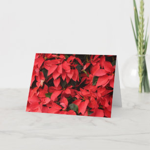Red Poinsettias II Weihnachtsfeiertage Feiertagskarte