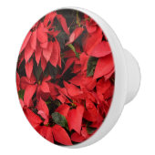Red Poinsettias II Weihnachtsfeiertage Keramikknauf (Rechts)