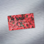 Red Poinsettias II Weihnachtsfeiertage Magnetische Visitenkarte (Beispiel)