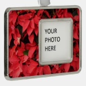 Red Poinsettias II Weihnachtsfeiertage Rahmen-Ornament Silber (Rechts)