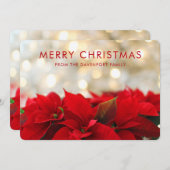 Red Poinsettias mit Golden Bokeh Frohe Weihnachten (Vorne/Hinten)