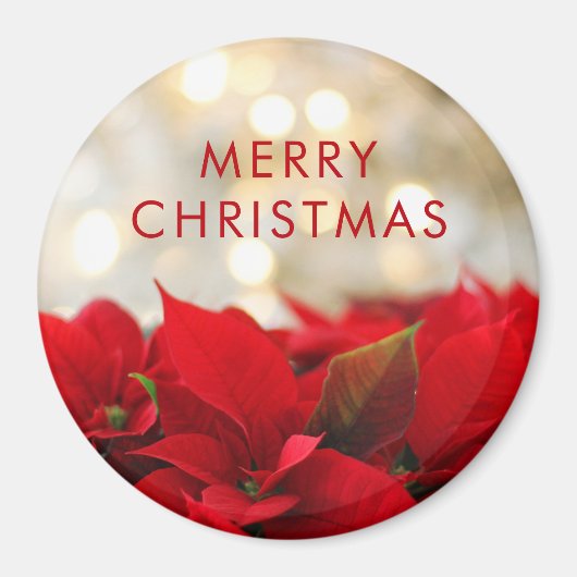 Red Poinsettias mit Golden Bokeh Weihnachten Magnet (Vorne)