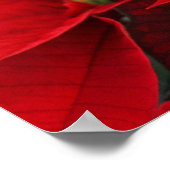 Red Poinsettias mit Golden Bokeh Weihnachten Poster (Ecke)