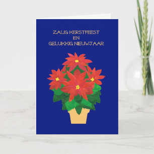 Red Poinsettias on Blue Flemish Language Greeting Feiertagskarte