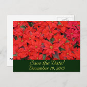 Red Poinsettias Save the Date Ankündigungspostkarte (Vorne/Hinten)