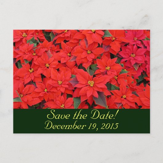 Red Poinsettias Save the Date Ankündigungspostkarte (Vorderseite)