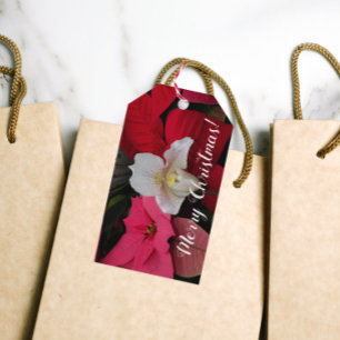 Red Poinsettias und Lady Slipper Orchid Holiday Geschenkanhänger
