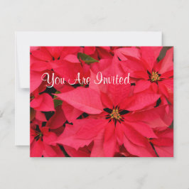 Red Poinsettias Weihnachtsaufenthalt Einladungen