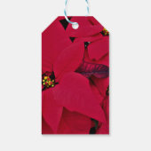RED POINTSETTIA GIFT TAG GESCHENKANHÄNGER (Rückseite)