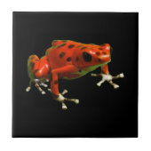 Red Poison Dart Frog Fliese (Vorderseite)