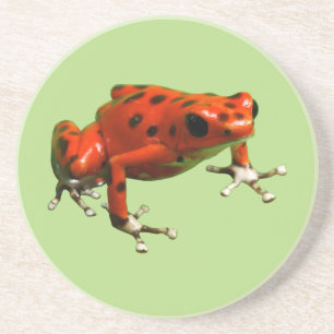 Red Poison Dart Frog Getränkeuntersetzer