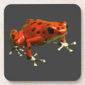 Red Poison Dart Frog Getränkeuntersetzer (Vorderseite)
