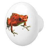 Red Poison Dart Frog Keramikknauf (Rechts)