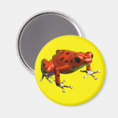 Red Poison Dart Frog Magnet (Vorderseite/Rückseite)