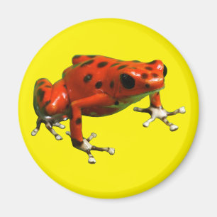 Red Poison Dart Frog Magnet