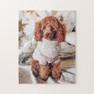 Red Poodle in einem Pullover unter einem Weihnacht Puzzle