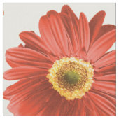 Red Pop Daisy Pattern Stoff (Nahaufnahme)