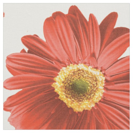 Red Pop Daisy Pattern Stoff (Nahaufnahme)