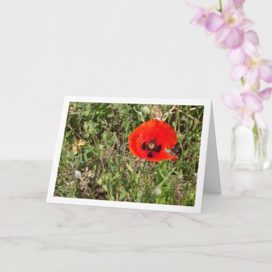Red Poppe Blume Card Karte (Orchidee)