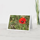 Red Poppe Blume Card Karte (Vorderseite)